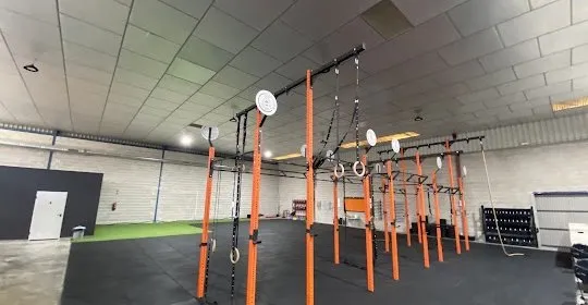 BUDDHA MONKEYS BOX en Molina de Segura