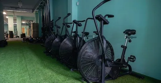 Safari Box, CrossTraining en Valencia