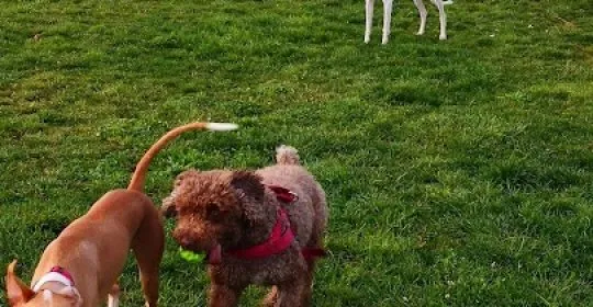 Parque de Street WorkOut Zaratán en Zaratán