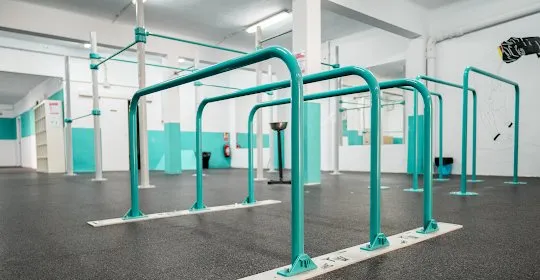 Jap Calisthenics Center en Palma de Mallorca