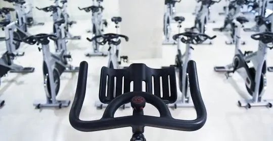 BDiR Lleida en Lleida