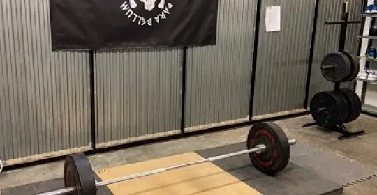 Z'Guarida en Alcarràs