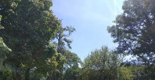 Escuela de Piragüismo Lugo en Lugo