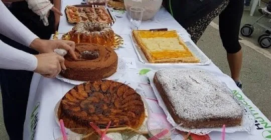 La Celula en Palma de Mallorca