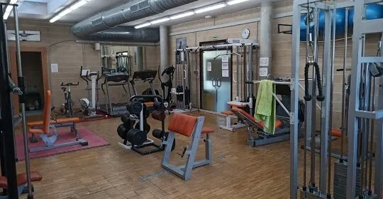 Gimnasio Hélade en Real Sitio de San Ildefonso