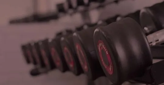 Camaretas Fitness en Soria