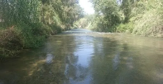 Rio La Pea Villamarxante en Guadalaviar