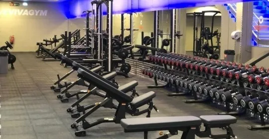 VivaGym Artea en Artea