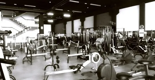 Gimnasio Francisco del Yerro en Alcalá de Henares