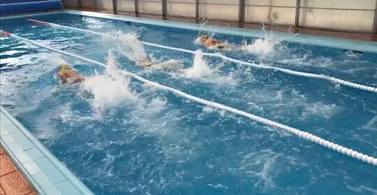 Centro Deportivo Natura Sport en Elche