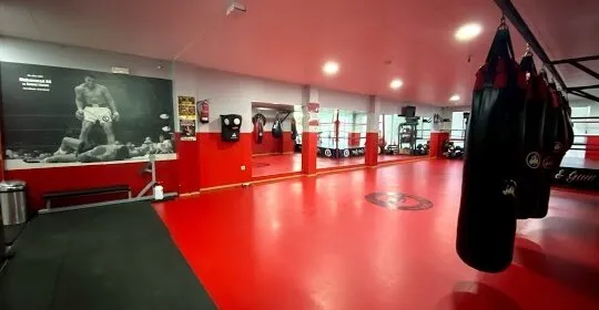 Pain & Gain Gym Granollers en Granollers