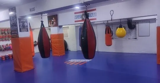 Daithon en L'Hospitalet de Llobregat