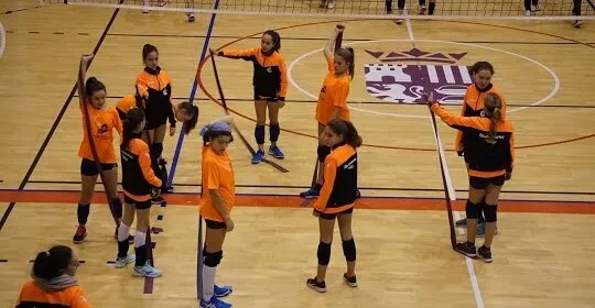 Polideportivo Jose Antonio Paraiso Torrejon Ardoz. en Torrejón de Ardoz