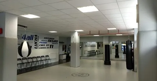 Tatami4all Getxo en Getxo