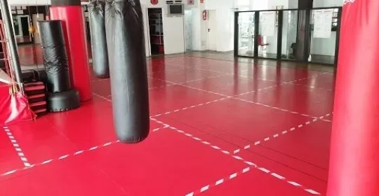 INSTITUTO ARTES MARCIALES en Sant Boi de Llobregat