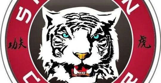 Gimnasio Shaolin Center en Talavera de la Reina