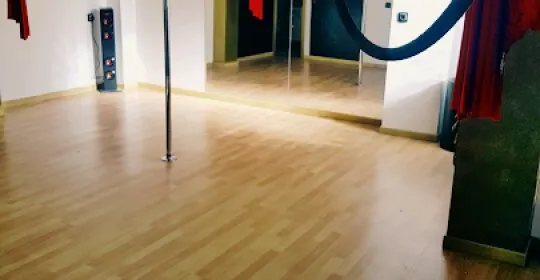 THE POLE DANCE PANTHER STUDIO en Arganda del Rey