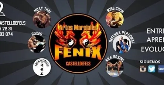 Artes Marciales FENIX en Castelldefels