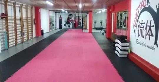 GIMNASIO DE ARTES MARCIALES RYUTAI en Viladecans