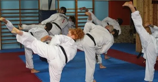 Taekwondo Lee Young Cerdanyola en Cerdanyola del Vallès