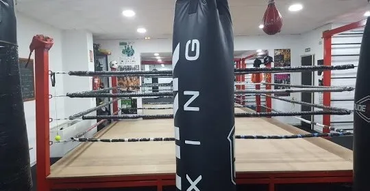 Gimnasio Aníbal en Linares