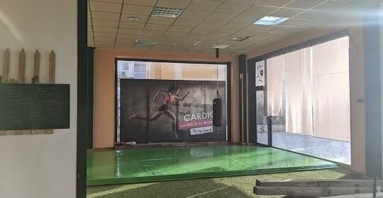 Visaltrain en Molina de Segura