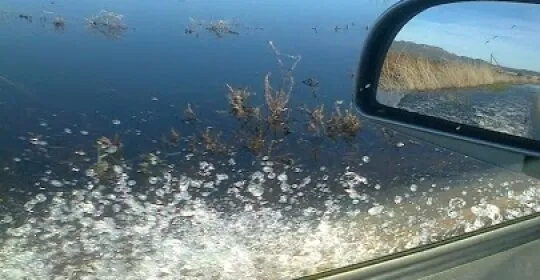 Entrada ALMARDÁ con Vehículo en Sagunto