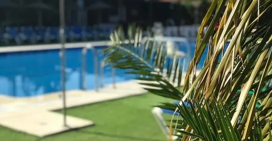 ALMAZARA CLUB en Utrera