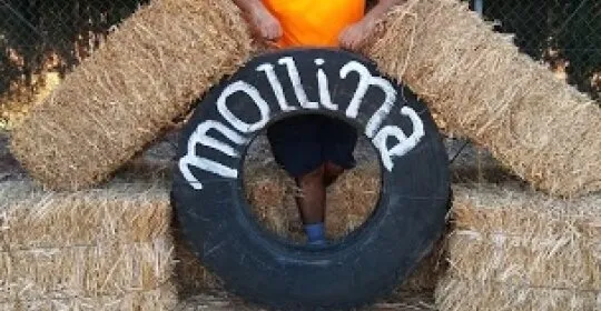 Pabellon De Mollina en Mollina