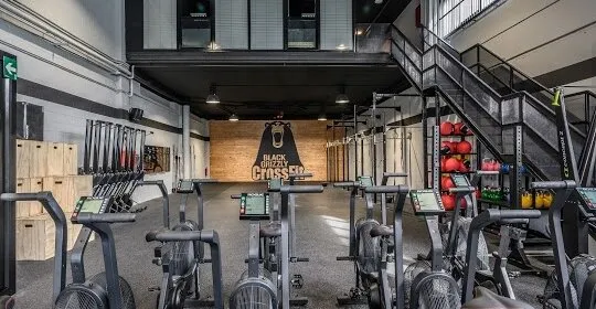 Black Grizzly Crossfit en Basauri