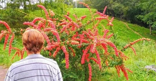 Suburbia Unlimited Fitness en Errenteria