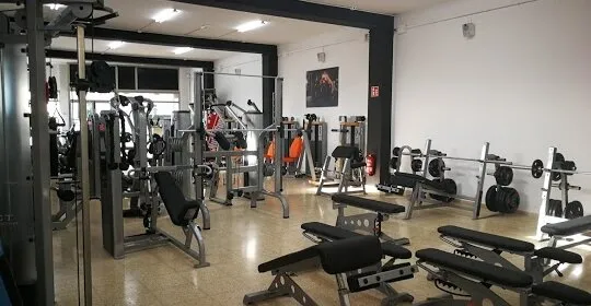 Beegymfitness en Llucmajor