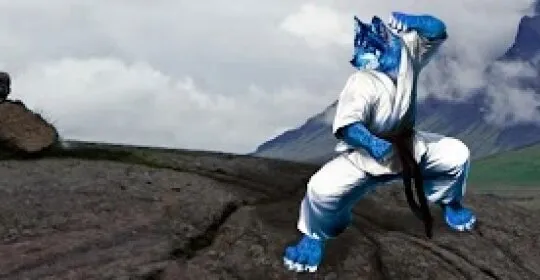 Club Deportivo Okami - Artes Marciales en Aldaia