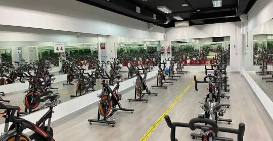 A.D.O.G. en Cuart de Poblet