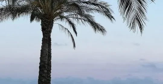 Monolito en Cambrils