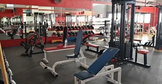 MAS FITNESS SPORT en Crevillente