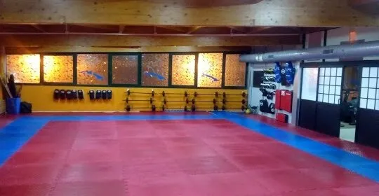 Sasori Ryu SL en Santa Perpètua de Mogoda