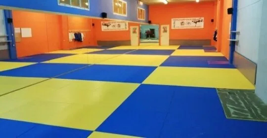 Judo Tortosa (TAC) en Tortosa