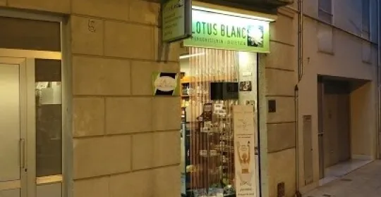 Lotus Blanc en Banyoles