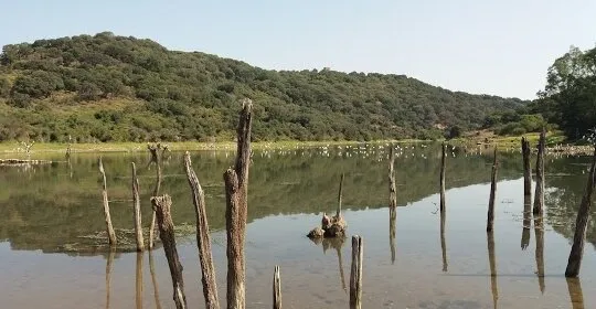 Presa del Prior en Los Barrios