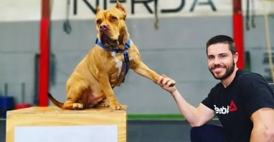 Gimnasio BOX Nerja Crosstraining ???? en Nerja