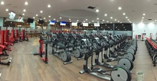 Forma Sport Torrente en Torrent