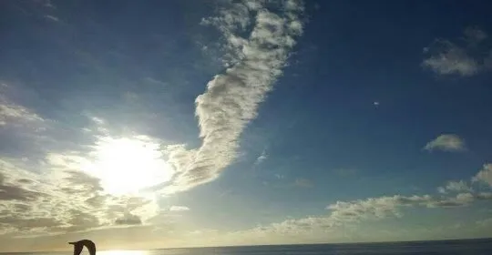 Gimnasio Interior en San Cristóbal de La Laguna