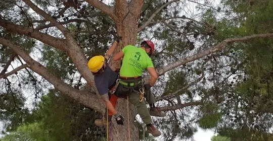 Espai Jove Chiva en Chiva