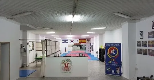Taekwondo, Escuela de Artes Marciales El Viso Del Alcor en El Viso del Alcor