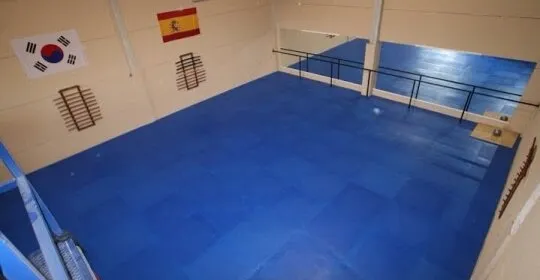 SungLi Doyang. La Escuela de Artes Marciales de Espartinas en Espartinas