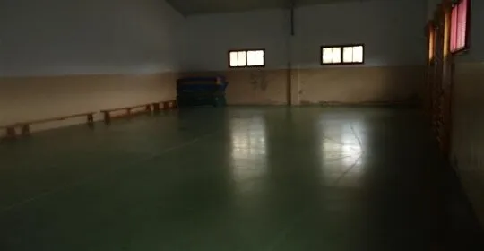 Udal Gimnasioa - Gimnasio Municipal en Elciego