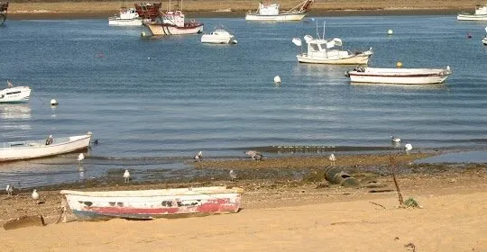 Club De Piragüismo punta Umbria en Punta Umbría