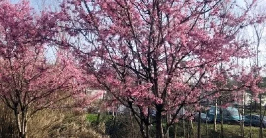 Sauna Tolosa en Tolosa