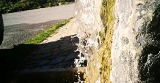 Castanas Gorbea en Vitoria / Gasteiz